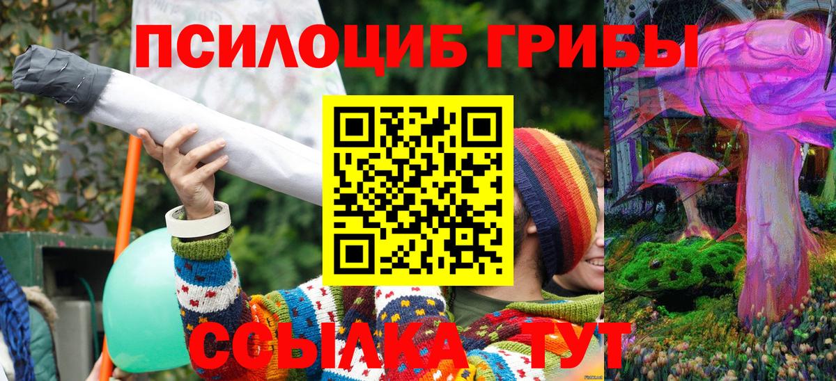 Псилоцибиновые грибы прущие грибы  Вход с VPN  как найти закладки  Троицк 